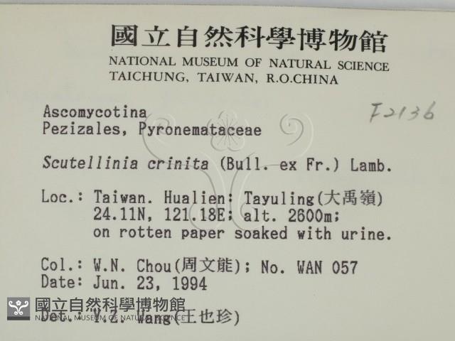 登錄號:F0002136藏品圖，第2張