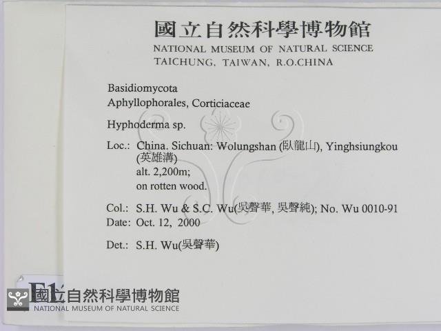 絲皮菌屬藏品圖，第2張