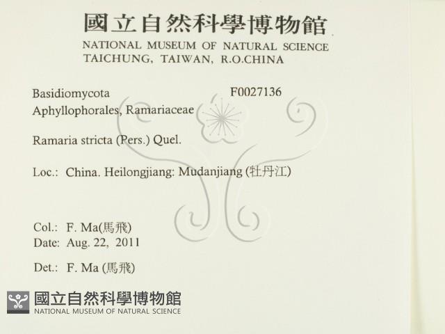 登錄號:F0027136藏品圖，第2張