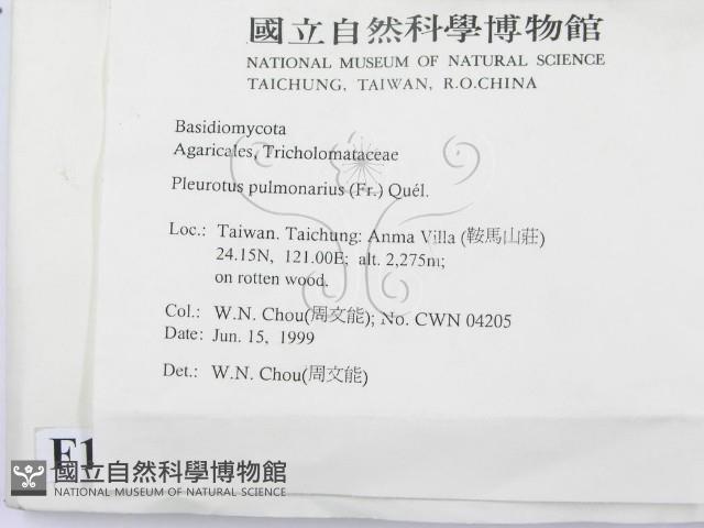 登錄號:F0013136藏品圖，第2張