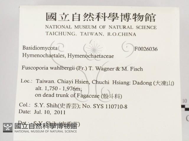 登錄號:F0026036藏品圖，第2張