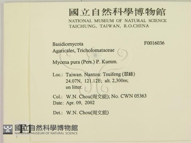 登錄號:F0016036藏品圖，第2張