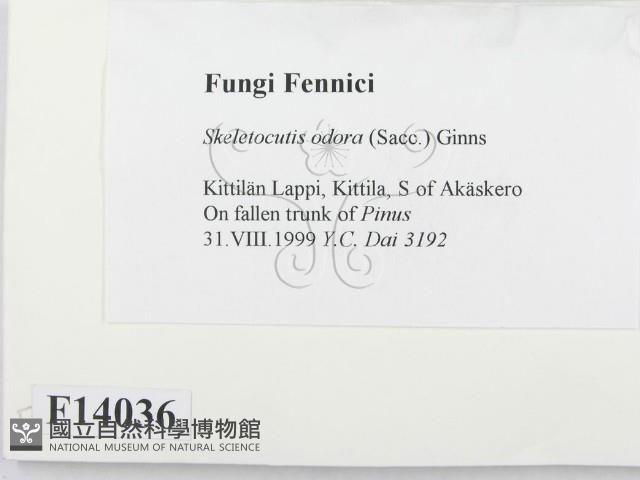 登錄號:F0014036藏品圖，第2張