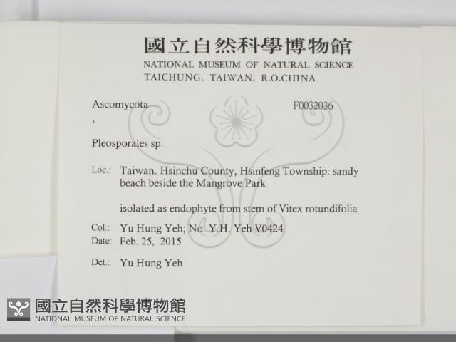 登錄號:F0032036藏品圖，第2張