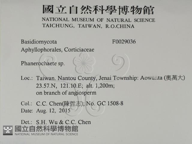 登錄號:F0029036藏品圖，第2張