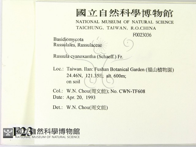 登錄號:F0023036藏品圖，第2張