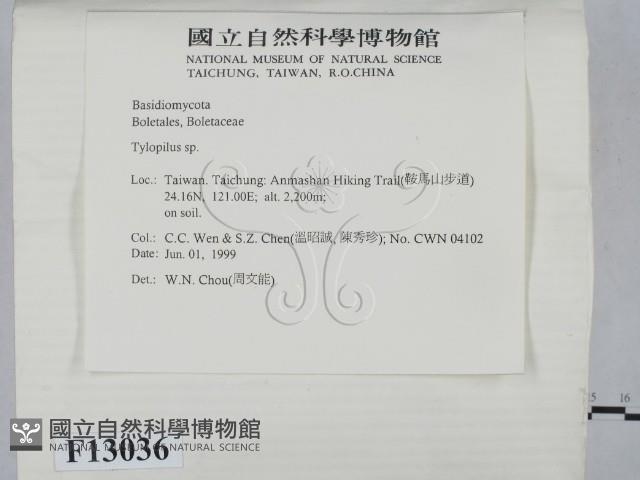 登錄號:F0013036藏品圖，第2張