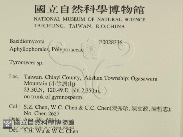 登錄號:F0028336藏品圖，第2張