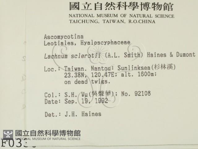登錄號:F0000336藏品圖，第2張
