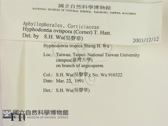 登錄號:F0010336藏品圖，第2張