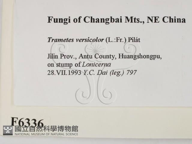 雲芝藏品圖，第2張