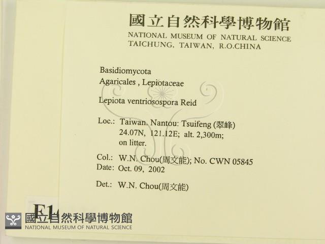 登錄號:F0016336藏品圖，第2張