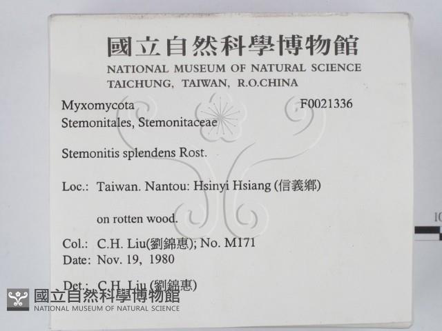 登錄號:F0021336藏品圖，第2張