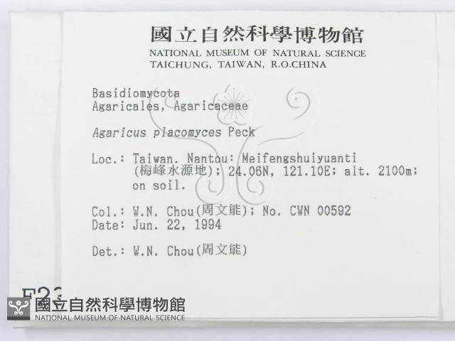 登錄號:F0002336藏品圖，第2張