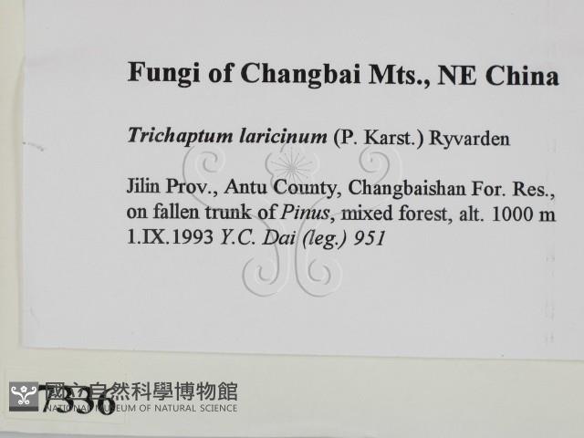 登錄號:F0007336藏品圖，第2張