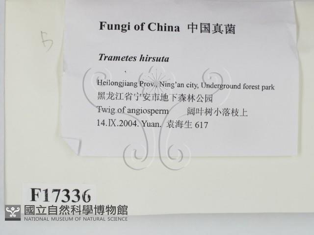 登錄號:F0017336藏品圖，第2張