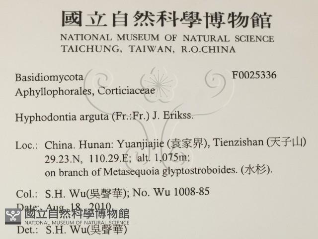 登錄號:F0025336藏品圖，第2張