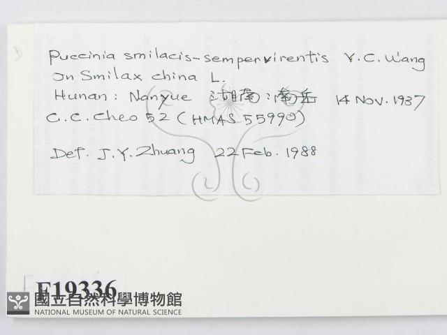 登錄號:F0019336藏品圖，第2張