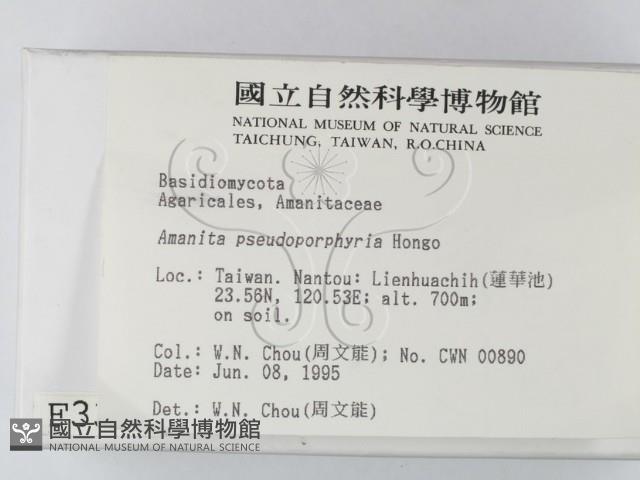 登錄號:F0003336藏品圖，第2張