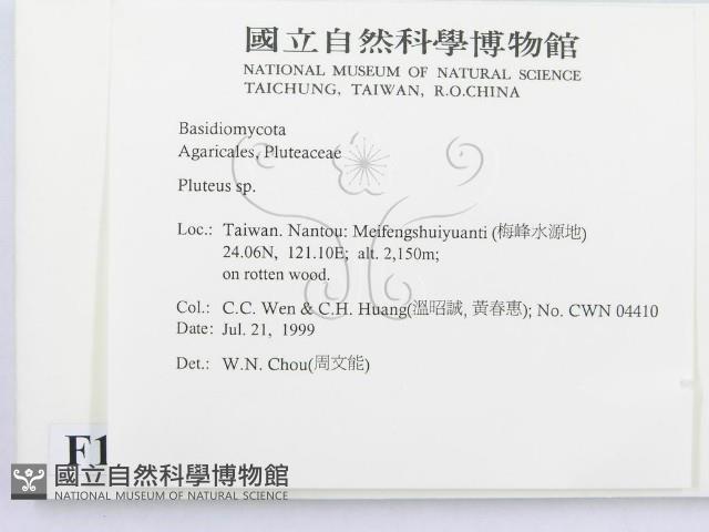 登錄號:F0013336藏品圖，第2張