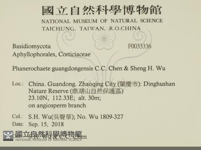 登錄號:F0033336藏品圖，第2張