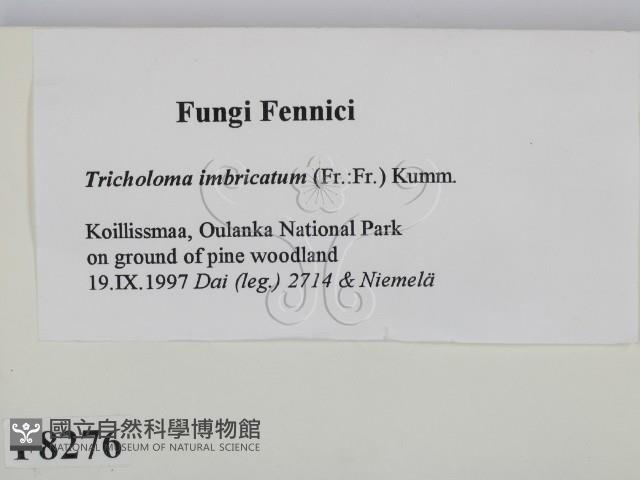 登錄號:F0008276藏品圖，第2張