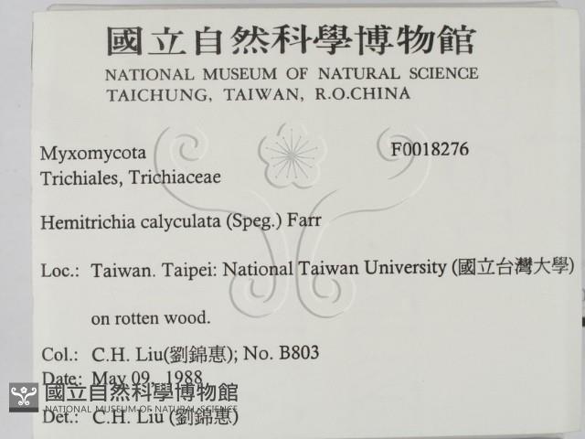 登錄號:F0018276藏品圖，第2張