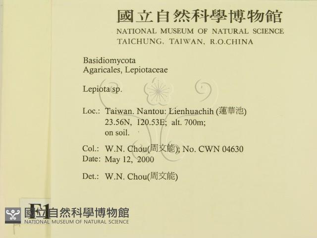 登錄號:F0014276藏品圖，第2張