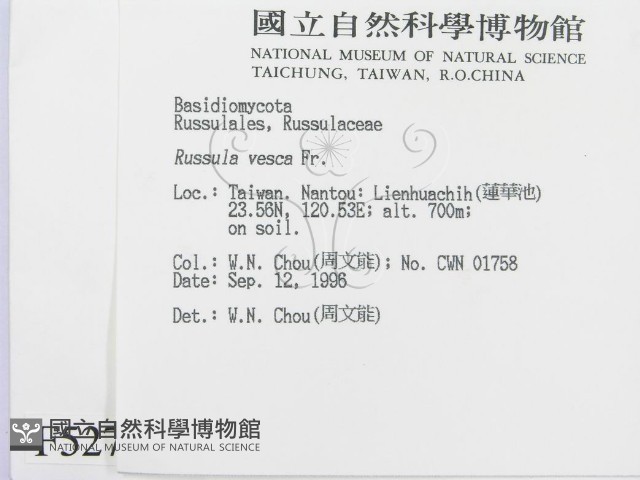 登錄號:F0005276藏品圖，第2張