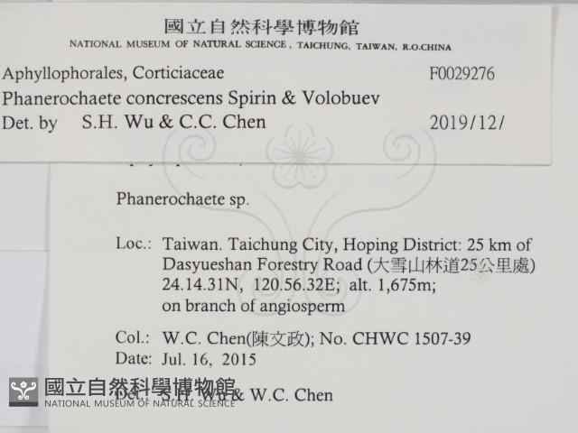 登錄號:F0029276藏品圖，第2張