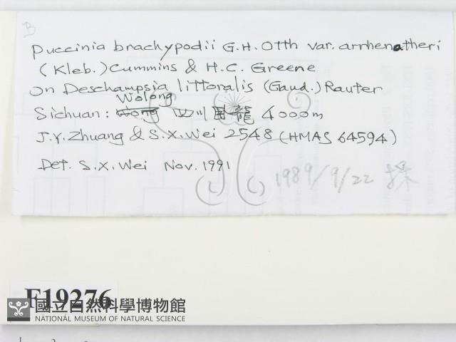 登錄號:F0019276藏品圖，第2張