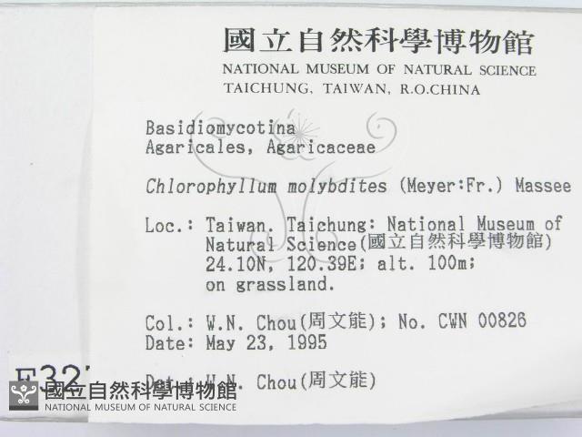 登錄號:F0003276藏品圖，第2張