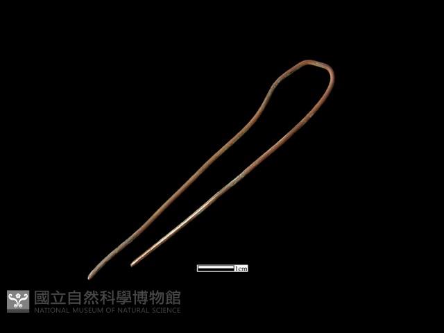 髮簪藏品圖，第1張