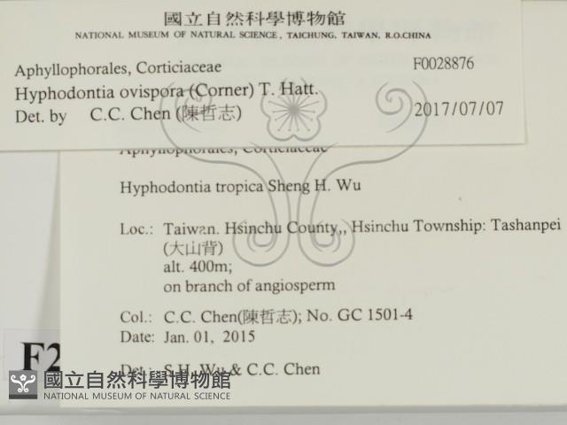 登錄號:F0028876藏品圖，第2張