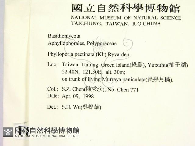 登錄號:F0008876藏品圖，第2張