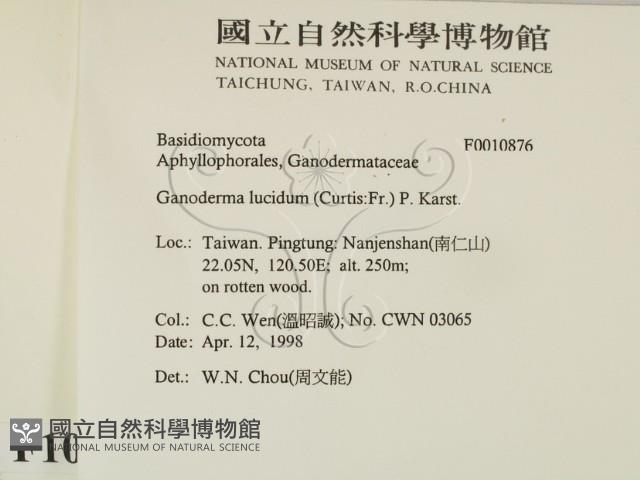 登錄號:F0010876藏品圖，第2張