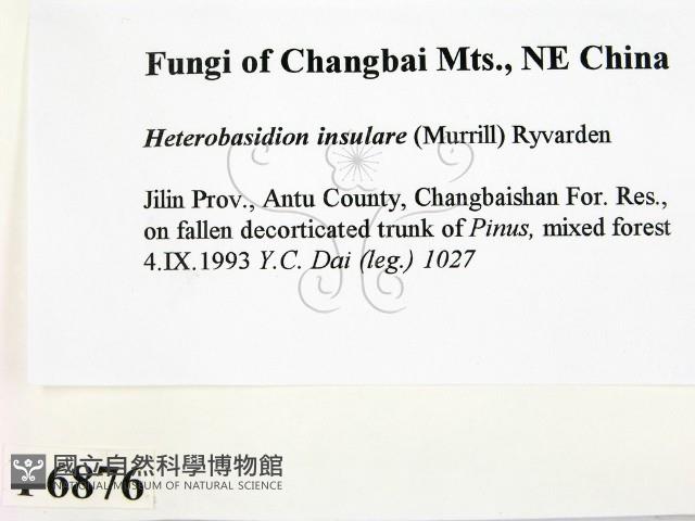 登錄號:F0006876藏品圖，第2張