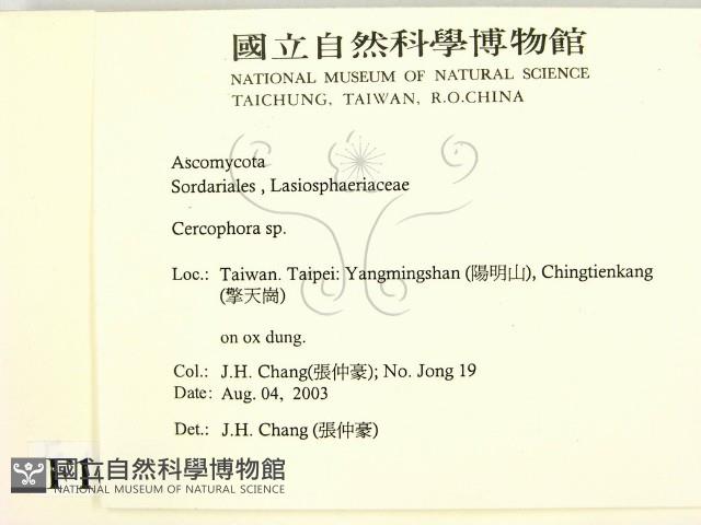 登錄號:F0016876藏品圖，第2張