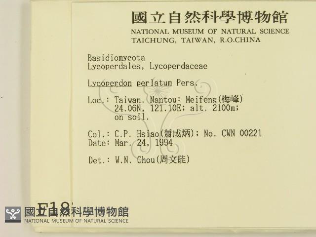 登錄號:F0001876藏品圖，第2張