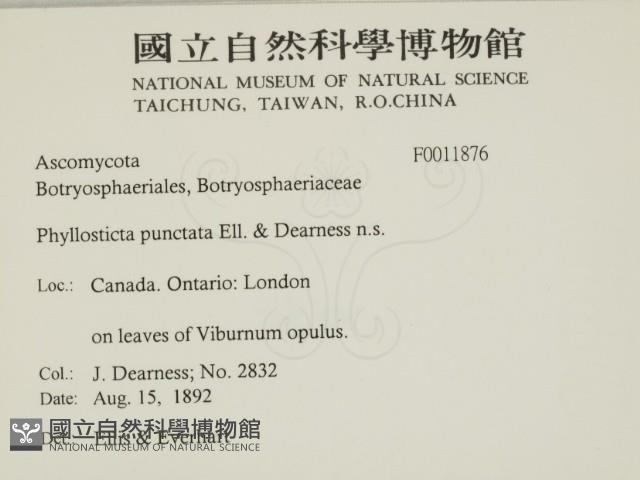登錄號:F0011876藏品圖，第2張