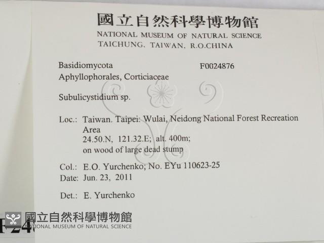 登錄號:F0024876藏品圖，第2張