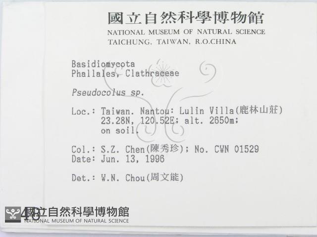 登錄號:F0004876藏品圖，第2張