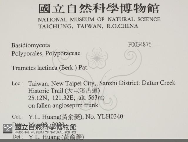 登錄號:F0034876藏品圖，第2張