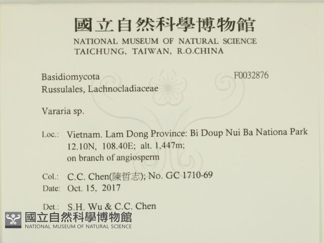 登錄號:F0032876藏品圖，第2張