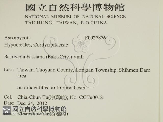 登錄號:F0027876藏品圖，第2張