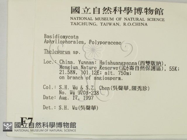 登錄號:F0007876藏品圖，第2張