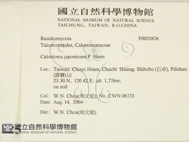 登錄號:F0025876藏品圖，第2張