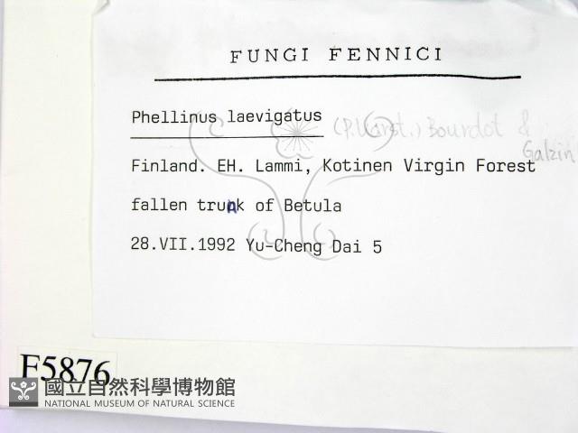 登錄號:F0005876藏品圖，第2張