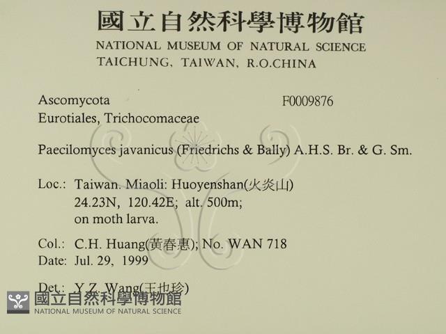 登錄號:F0009876藏品圖，第2張
