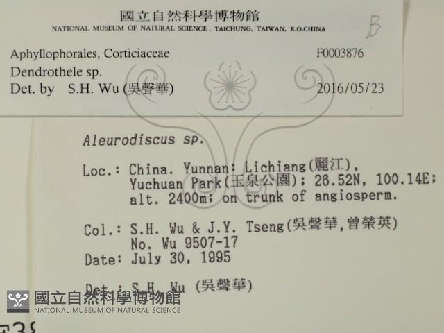 登錄號:F0003876藏品圖，第2張